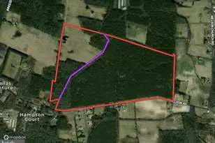 0 Melson Rd, Delmar, MD 21875 - Photo 1