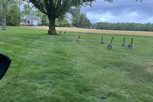 4154 Nicholas Mews, Salisbury, MD 21804 - Photo 45