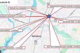 410 Elizabeth St, Salisbury, MD 21804 - Photo 25