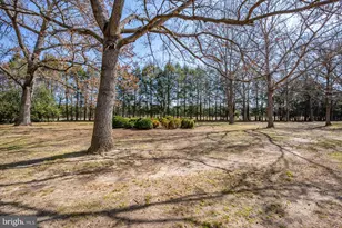 27980 Pemberton, Salisbury, MD 21801 - Photo 81