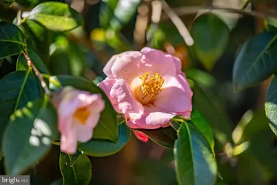 27980 Pemberton, Salisbury, MD 21801 - Photo 107