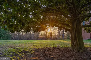 27980 Pemberton, Salisbury, MD 21801 - Photo 9