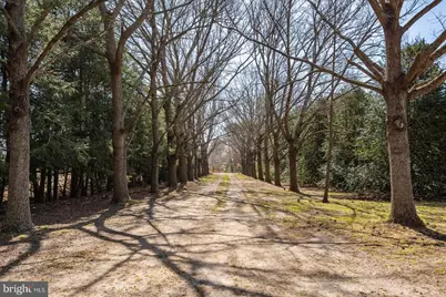 27980 Pemberton, Salisbury, MD 21801 - Photo 105