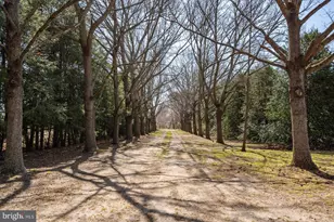 27980 Pemberton, Salisbury, MD 21801 - Photo 105