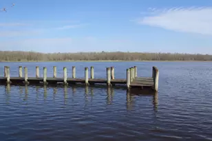 300 Main St, Sharptown, MD 21861 - Photo 63