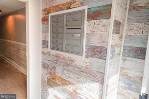 308 N Division St, Salisbury, MD 21801 - Photo 7