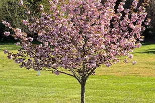 5995 Bell Creek Dr, Salisbury, MD 21801 - Photo 45