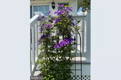 5995 Bell Creek Drive, Salisbury, MD 21801 - Photo 41