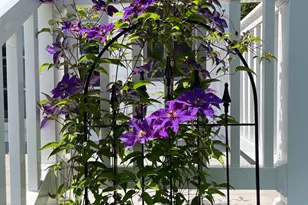 5995 Bell Creek Dr, Salisbury, MD 21801 - Photo 41