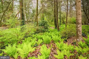 516 Indian Ln, Salisbury, MD 21801 - Photo 79