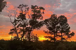 8292 Democracy Dr, Parsonsburg, MD 21849 - Photo 79