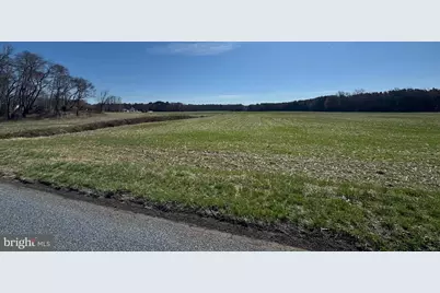 0 Line Road, Parsonsburg, MD 21849 - Photo 5