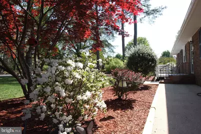 1036 S Schumaker Drive, Salisbury, MD 21804 - Photo 3