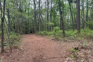 28403 Old Eden Rd, Eden, MD 21822 - Photo 21
