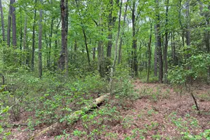 28403 Old Eden Rd, Eden, MD 21822 - Photo 23