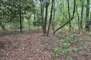 28403 Old Eden Rd, Eden, MD 21822 - Photo 19