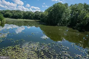 228 Canal Park Dr, Salisbury, MD 21804 - Photo 43
