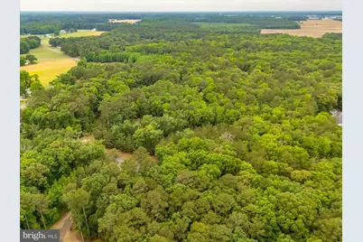 Pristine Place #16AA, Parsonsburg, MD 21849 - Photo 13