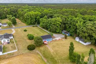 31655 Morris Leonard Rd, Parsonsburg, MD 21849 - Photo 69