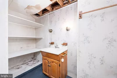 8473 N Prong Lane, Delmar, MD 21875 - Photo 47