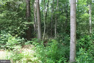 Lot 3 Jackson Rd, Salisbury, MD 21804 - Photo 9