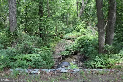 Lot 3 Jackson Road, Salisbury, MD 21804 - Photo 7