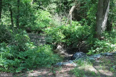 Lot 3 Jackson Road, Salisbury, MD 21804 - Photo 13