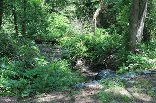 Lot 3 Jackson Rd, Salisbury, MD 21804 - Photo 13
