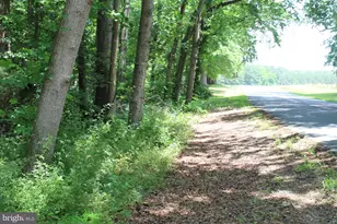 Lot 3 Jackson Rd, Salisbury, MD 21804 - Photo 11