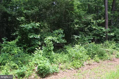 Lot 3 Jackson Road, Salisbury, MD 21804 - Photo 5