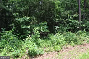 Lot 3 Jackson Rd, Salisbury, MD 21804 - Photo 5
