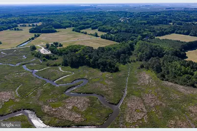 Nanticoke Road, Bivalve, MD 21814 - Photo 7