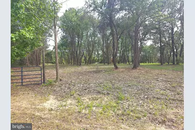 Lot 1 Red Hill Lane, Nanticoke, MD 21840 - Photo 3
