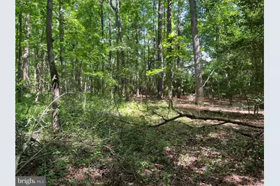 Cedar Court, Hebron, MD 21830 - Photo 11