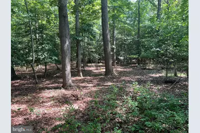 Cedar Court, Hebron, MD 21830 - Photo 7