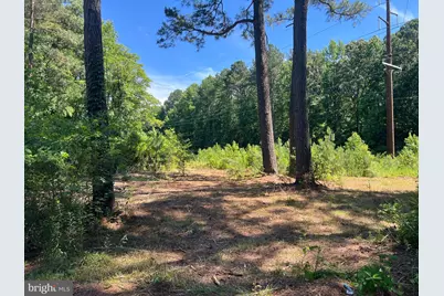 Cedar Court, Hebron, MD 21830 - Photo 3