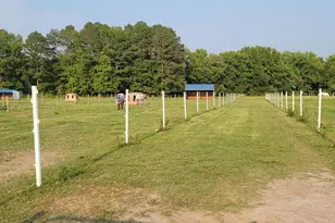 31244 Dog House Dr, Salisbury, MD 21804 - Photo 11