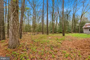 8434 Hurleys Neck Rd, Mardela Springs, MD 21837 - Photo 5