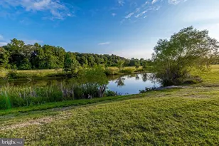 9126 Clubhouse Dr, Delmar, MD 21875 - Photo 43