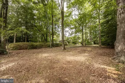 8000 Pintail Drive, Parsonsburg, MD 21849 - Photo 65