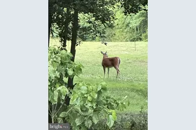 9042 Executive Club Drive, Delmar, MD 21875 - Photo 47