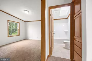 35183 Diva Ct, Pittsville, MD 21850 - Photo 33