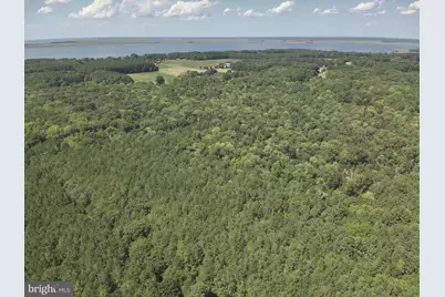Jesterville Road, Tyaskin, MD 21865 - Photo 23