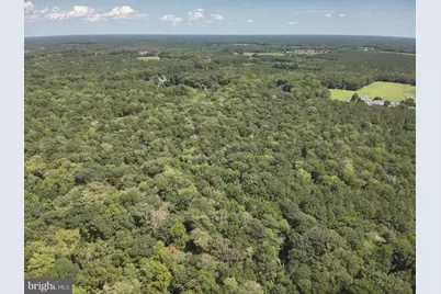 Jesterville Road, Tyaskin, MD 21865 - Photo 17
