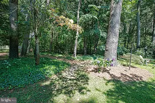 5239 Silver Run Ln, Salisbury, MD 21801 - Photo 101