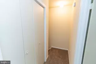 746 Hemlock St, Salisbury, MD 21804 - Photo 21