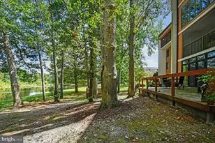 229 Canal Park Dr, Salisbury, MD 21804 - Photo 49