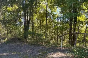 Wetipquin Rd, Quantico, MD 21856 - Photo 1