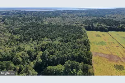 12823 Lewis Road, Berlin, MD 21811 - Photo 3