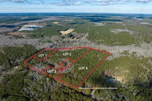 Lot 1 Sand Road, Snow Hill, MD 21863 - Photo 3